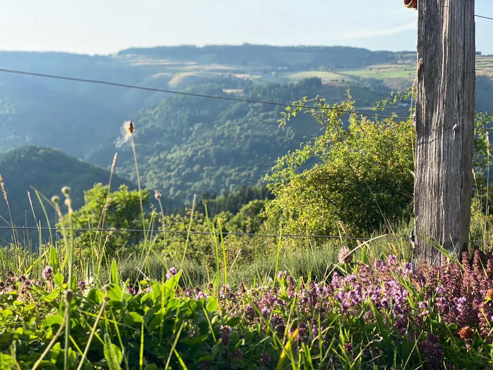 Tiny House De Tempoyrac Villa La Rochette  Eksteriør bilde